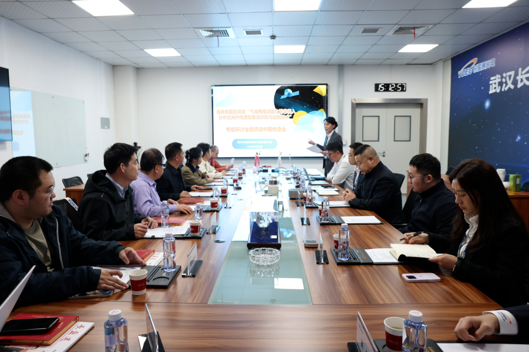 kaiyun入口助力深海能源技术攻关——海南省国际合作项目中期检查会在汉成功召开